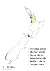 Veronica obtusata distribution map based on databased records at AK, CHR & WELT.
 Image: K.Boardman © Landcare Research 2022 CC-BY 4.0